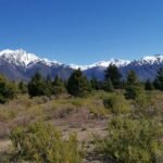 0c426b6d-b098-451f-a93f-de54b6b40171