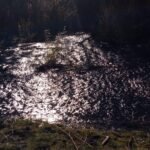 0d99eaef-669d-4007-ac1b-37cd47e27fec