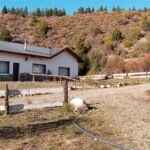 0dce8769-6f62-4067-bf2d-5c6bb592150b