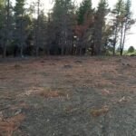 1898fec6-0842-4b6d-8071-35a9b2aa821e