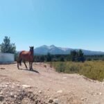 31980f47-6b61-4e11-bf82-25732fb6cfd5