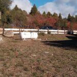 92d0f6eb-6ca6-4131-9d68-908ed4a2a2ba