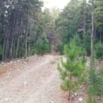 954ffc9b-bef6-40fe-9bf8-15e44edcb44c