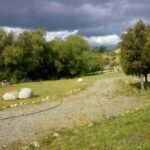 9b72184e-37d5-45f1-82c4-c878dfebed0e