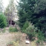 a1270903-787f-48a1-a034-e8cf0a443d46