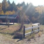 a5b43d01-f1db-448b-ae14-b7d77b7f8229