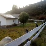 d45dbcc0-9c61-4dba-b1f8-dc31e5e7e7f8