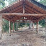 d6d28031-4dcd-40e0-b45b-537d0b2f0667