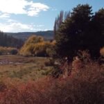 db8f84f7-3bb5-4cd8-b1d7-cf13c5939700