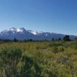 e9729c50-ad39-47fd-8560-d48099f2f3dd