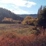 ed412152-c3fc-45ac-b790-6b71763cb53e