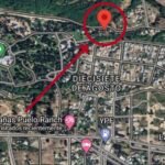 248a55b7-82c0-4a26-924f-dbc911e89659