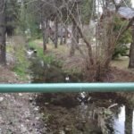 24c374ae-b479-4b89-88ad-210bb4da1a6b