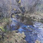 49bf1c55-deea-4556-be6f-bc8744d200ad