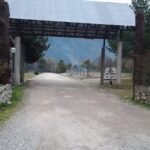 70083ef3-9841-4807-b5d4-68c0d31cf88d