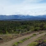 74ea9e63-bed5-4791-b202-04ad88252413