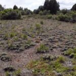 8ec281e5-f7c9-44b4-b932-6a3db5bd67dc