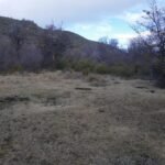 a850deef-94ea-43df-b4ef-9f5f7724d784