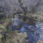 ba058d3e-a5d0-435f-be8f-5cd57f09a367