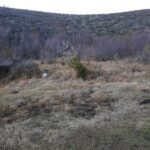 d28e23dd-1515-4939-a418-e8ad85c11c18