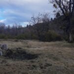 d87a122c-d412-4769-9472-bc3e4a53e246