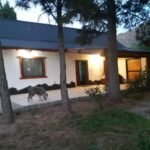 e3cb8fce-cbcd-490d-96f6-72261d107b03