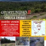 ffcf1bfd-1378-4866-af95-c2cb2c7d4e78